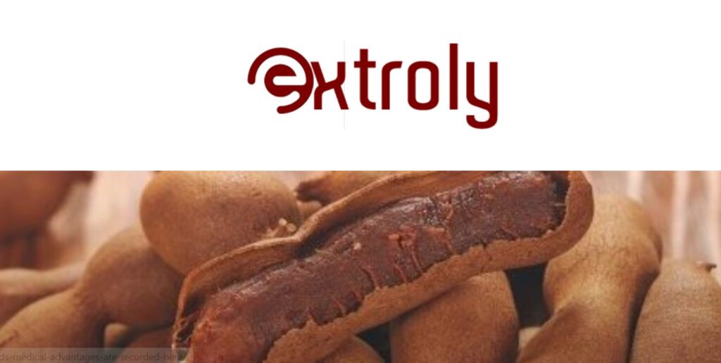 Extroly com The Ultimate Bio-Link Tool for TikTok Creators in 2024 Extroly com
